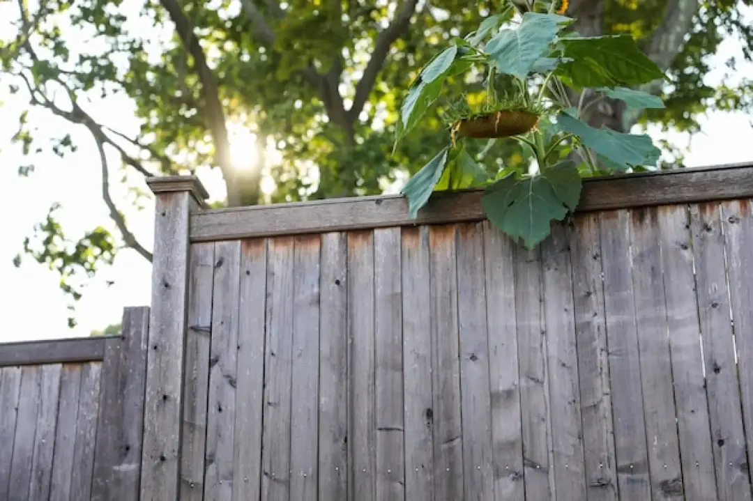 Prepare Your Fence for Winter Weather
