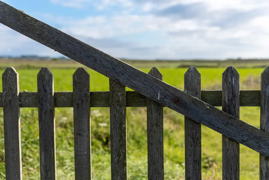 Creating a Clear Garden Boundary