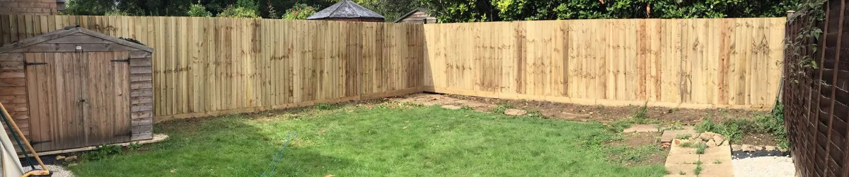 Pressure Treated Pine
