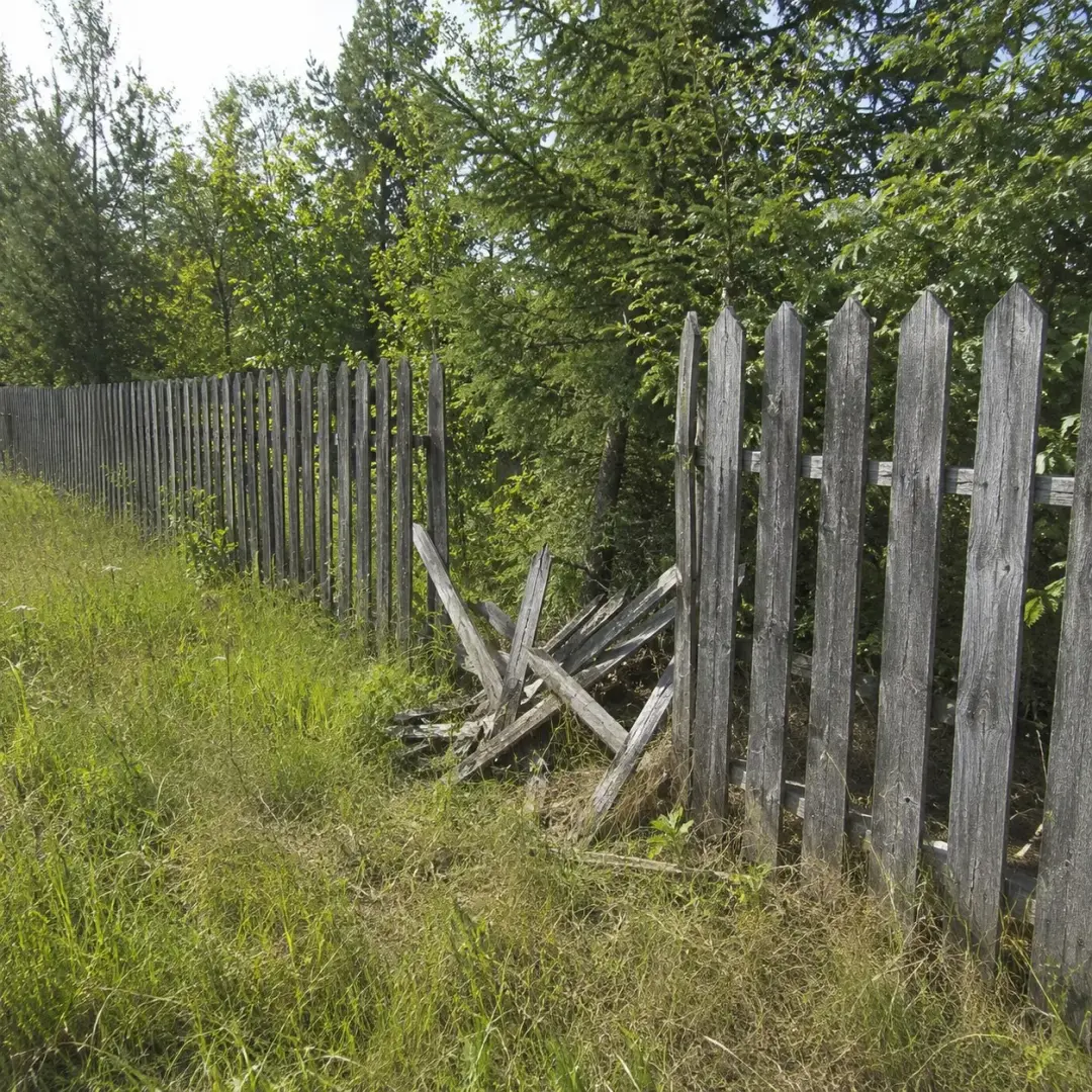 Repairing Damaged Pickets Before Treatment