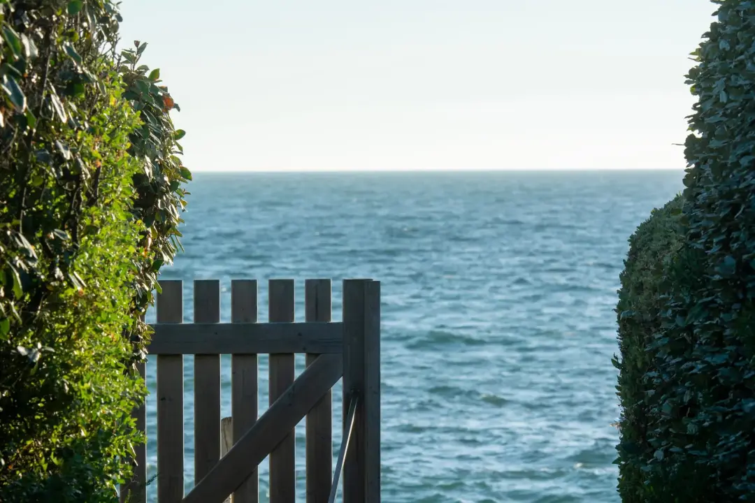 Picket Fencing for Back Gardens