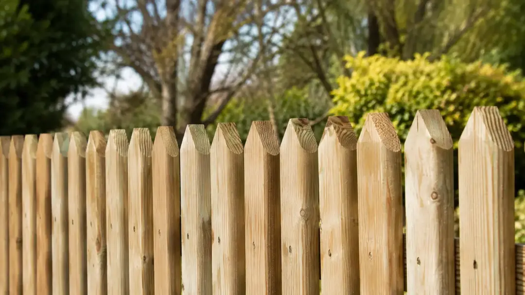 Why Choose Picket Fencing for Your Property Why Choose Picket Fencing for Your Property Image