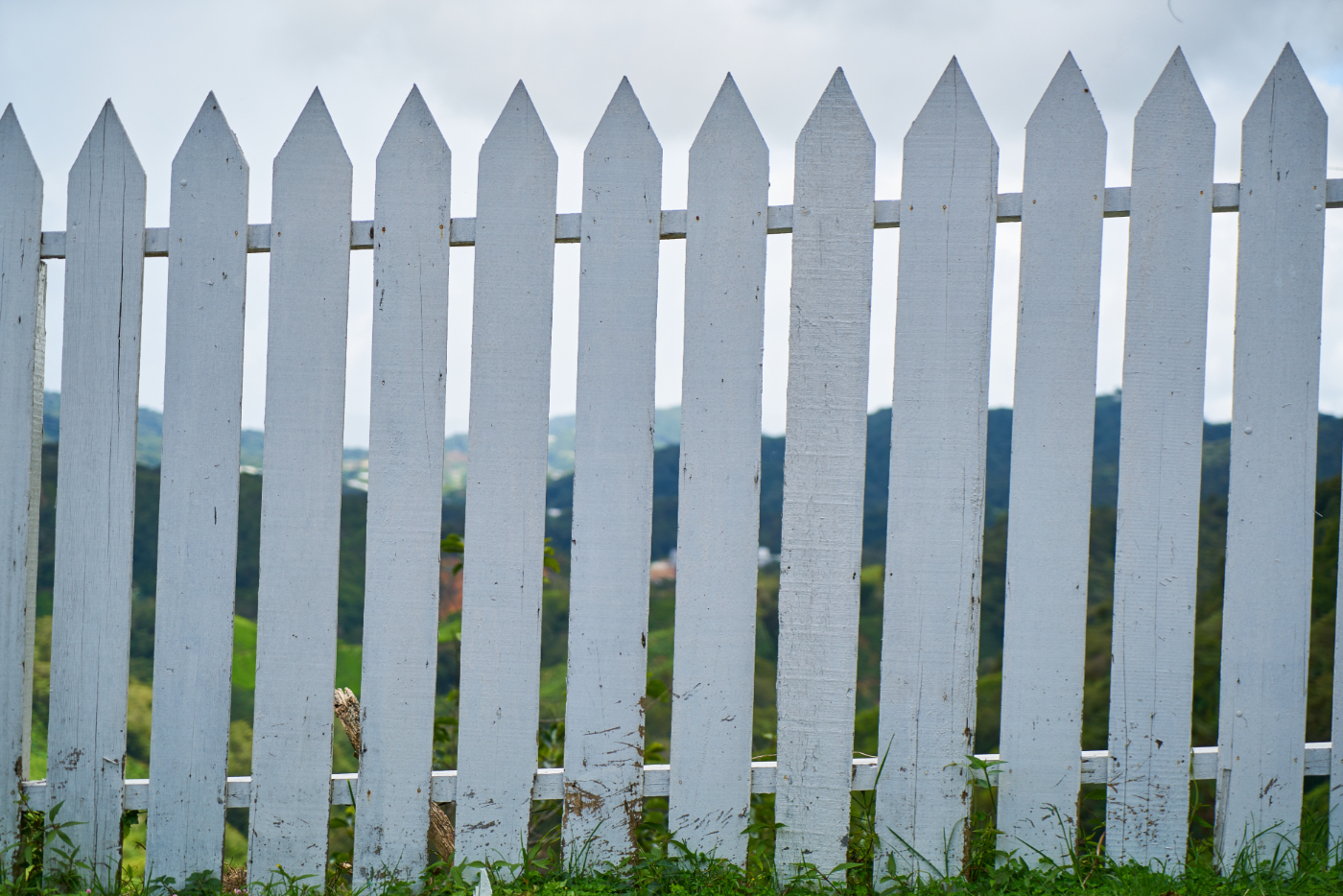 Picket Fence - How Much Does Garden Fencing Cost?