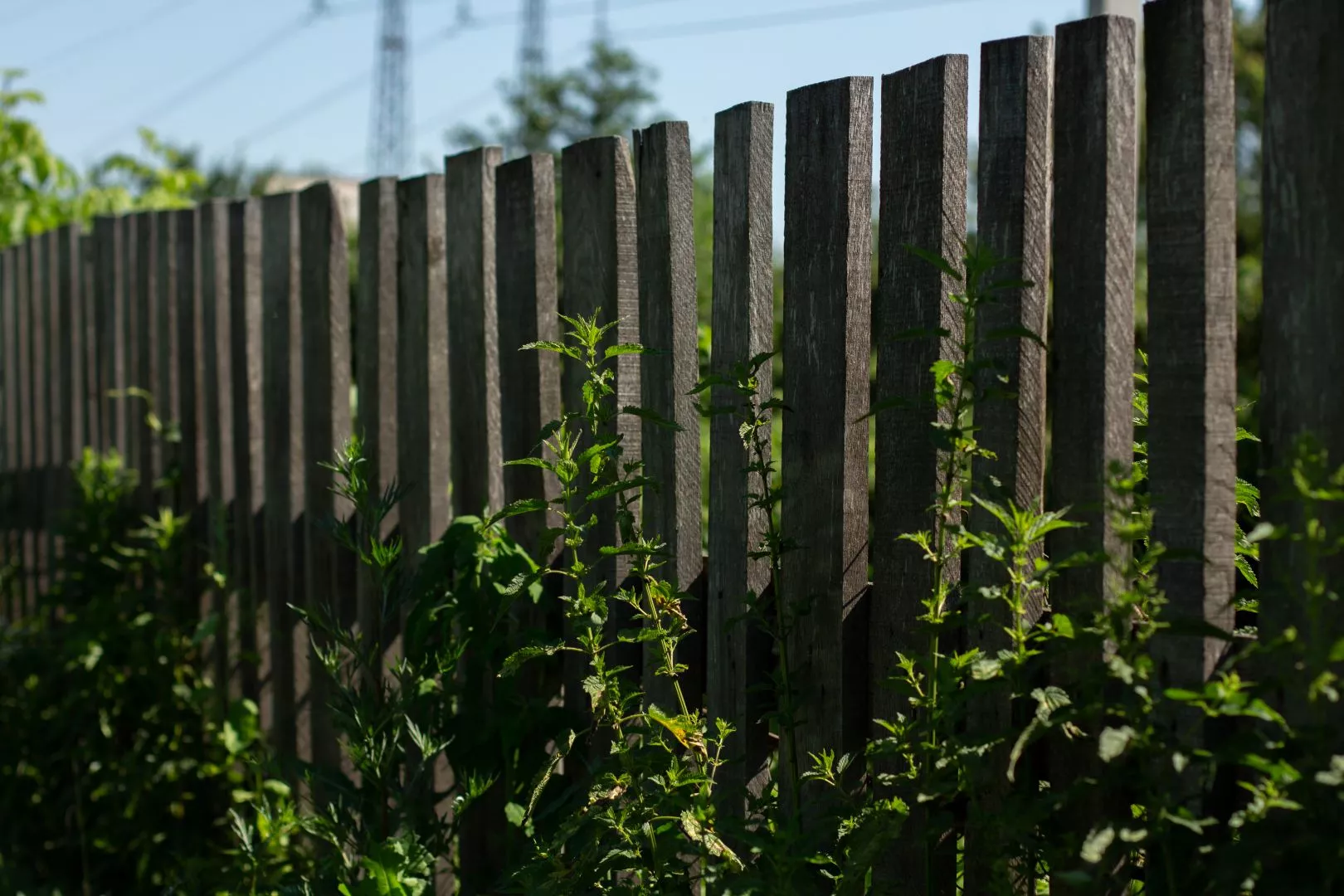 Use Black Paint - Garden Fence More Interesting